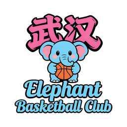 爱趣野库昊队